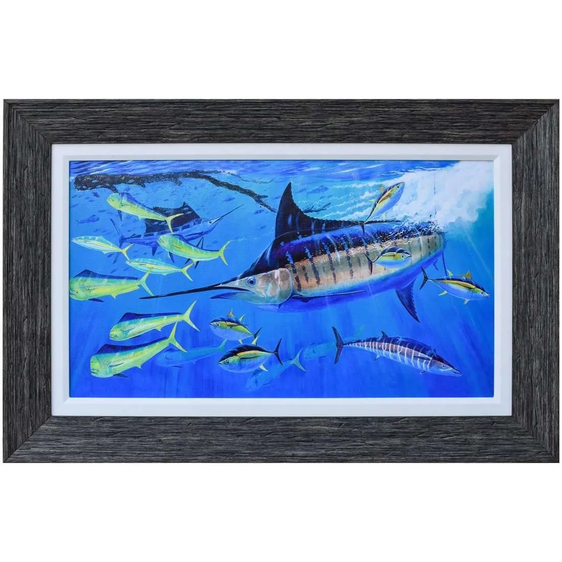 Fishing Extravaganza